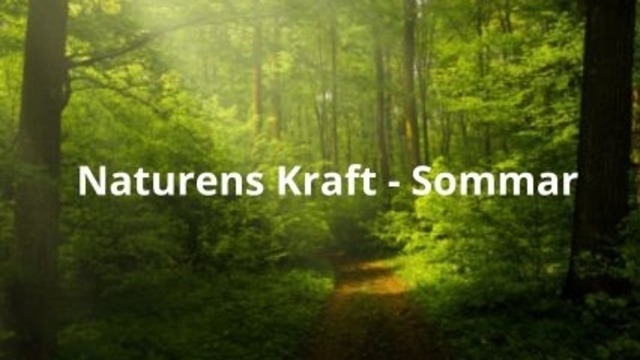 Boka Naturens Kraft - Sommar