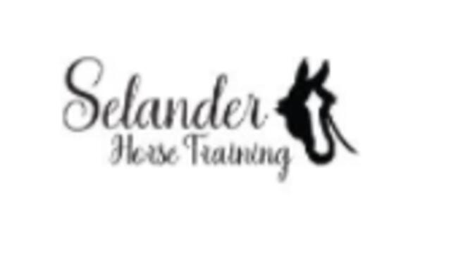 Boka Selander Horse Training