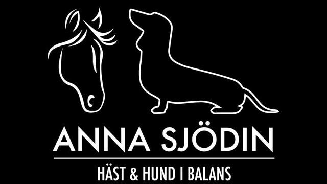 Boka Anna Sjödin- Häst & Hund i Balans